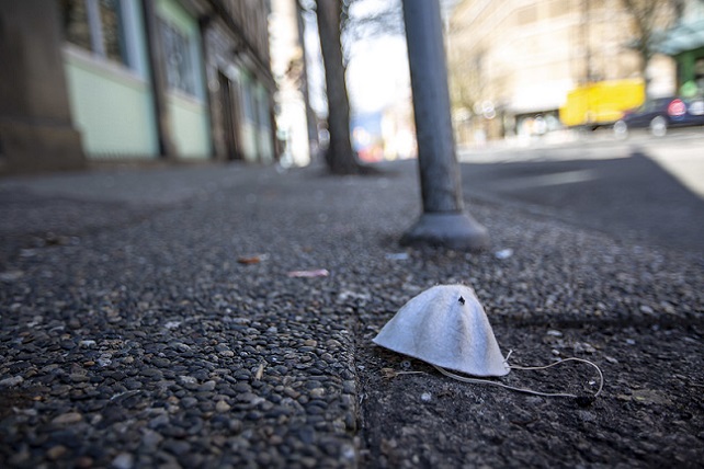 49732965471_36ff772152_c