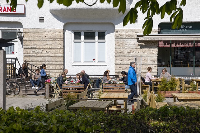 49828826903_95454b6408_c