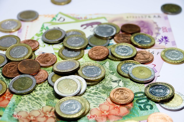 argentina-4313523_640