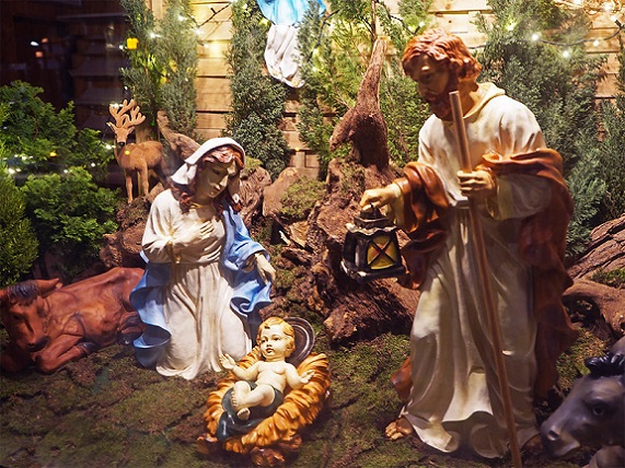 50375802637_b4cf4e7eac_c