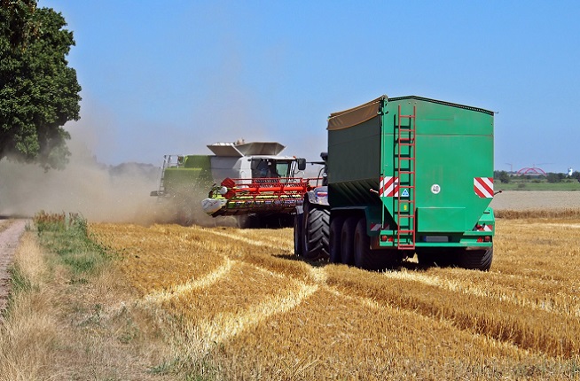 50375802637_b4cf4e7eac_c