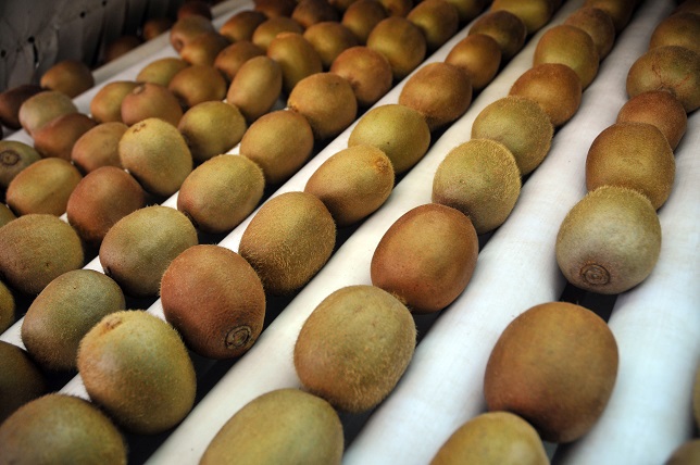 50375802637_b4cf4e7eac_c