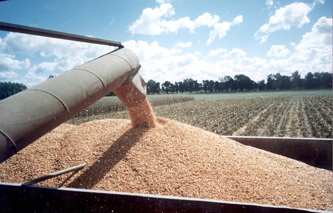 50375802637_b4cf4e7eac_c