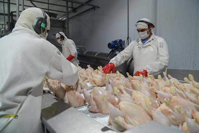 50375802637_b4cf4e7eac_c